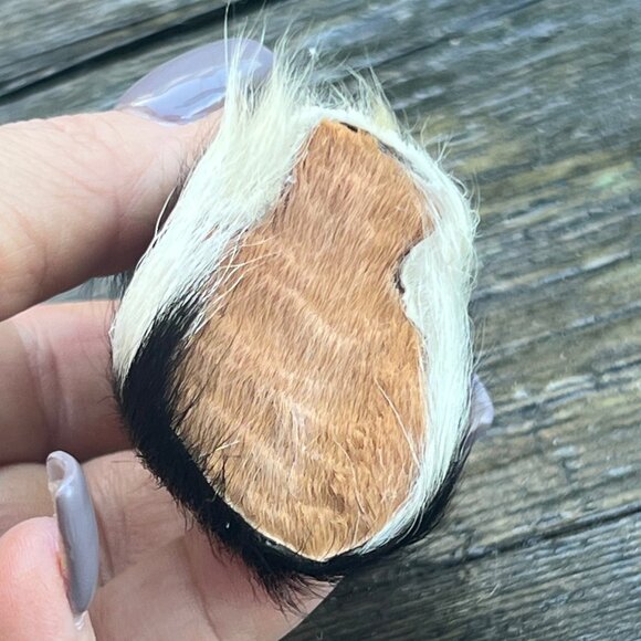 Vintage Miniature Real Fur Dog Shih Tzu Pekingese Doll House Toy Japan Germany ? - Picture 6 of 6